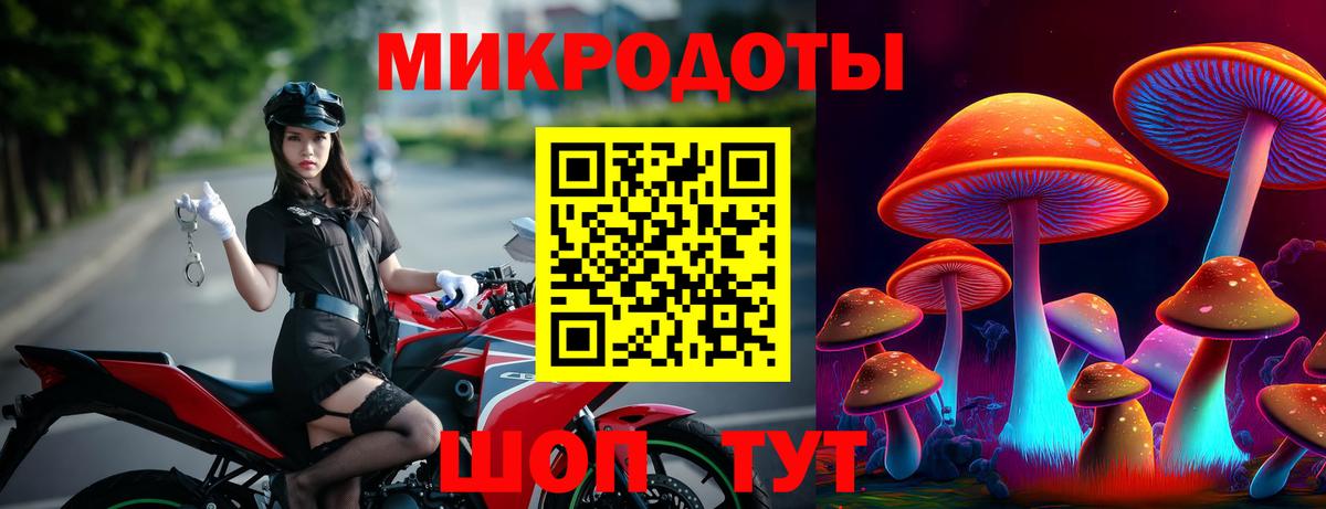 Галлюциногенные грибы мицелий Грязи